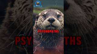 The Dark Truth About Sea Otters💀 [upl. by Ytsirhc329]