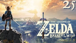 Zelda Breath of the Wild 25  Divine Beast Vah Medoh [upl. by Reviel]