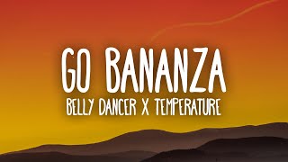 Belly Dancer x Temperature TikTok Remix dont be shy girl go bananza [upl. by Eeclehc44]