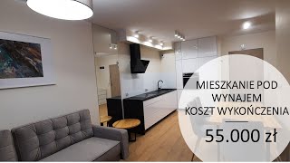 Mieszkanie 40m2 Koszt wykończenia 55000 zł dwa pokoje [upl. by Naujid]