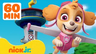 PAW Patrol Skyes BEST Lookout Tower Rescues w Marshall amp Skye  1 Hour Compilation  Nick Jr [upl. by Michiko]