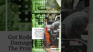 Rodent Abatement amp Attic Restoration  VersaTech® Rodent Services  LA County [upl. by Noellyn]