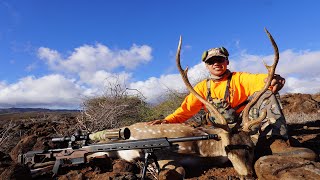 Lanai Rifle Hunt  2022 Stewardship Hunt  700 Yard Shot [upl. by Alisha720]