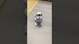 My Robo Dog 🐾 fun [upl. by Ellie]