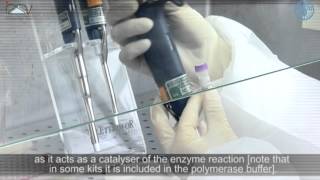 PCR Master Mix preparation and RTPCR [upl. by Aires]