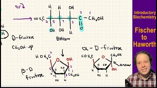 How to Draw a Haworth Projection Ketose Edition [upl. by Godber489]