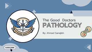 Lecture 6  Acute inflammation 1  Pathology [upl. by Coffey655]