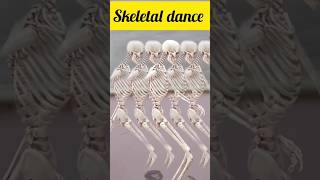 Amazing Skeletal system dance music song imaginedragons viral artist art short anatomy [upl. by Weingartner]