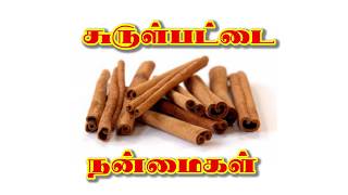 Surul Pattai Benefits in Tamil சுருள்பட்டை நன்மைகள் [upl. by Files]