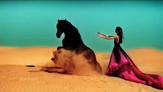 Neshooni Persian official Full Song Tiktok arabic Trending 2024 [upl. by Narmis700]