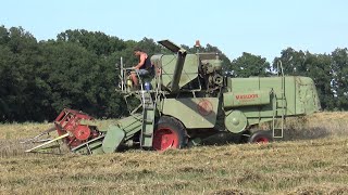 Claas Matador Gigant [upl. by Adnouqal]