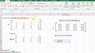 Matriz de Cofactores de A usando EXCEL [upl. by Noryb972]