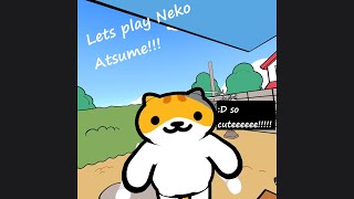 Lets Play Neko Atsume OMG THESE KITTIES ARE SOOOO CUTE D [upl. by Yesteb304]