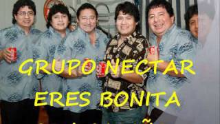 GRUPO NECTAR ERES BONITA [upl. by Grissel]