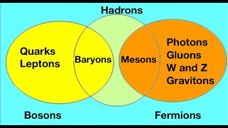 Bosons and fermions fundamental particles  for beginners from fizzicsorg [upl. by Nived]