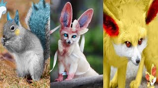 If Pokémon were Real and Alive 3 [upl. by Dannon]