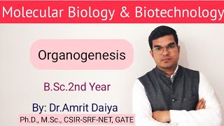 Organogenesis in PTC Hindi amp English By DrAmrit Daiya [upl. by Rumery600]