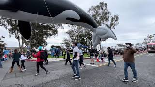 Exciting Highlights from the Dana Point Whale Festival 2024 [upl. by Donnie]