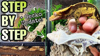 HOW TO SETUP A CRESTED GECKO VIVARIUM  GECKO UPDATE [upl. by Fromma]