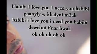 Pitbull amp Ahmed Chawki  Habibi I love you lyric song [upl. by Enirrok]