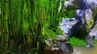 Making bamboo forest with mini waterfall [upl. by Tyoh]