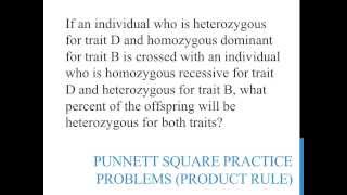 Punnett square practice problems product rule [upl. by Itch]