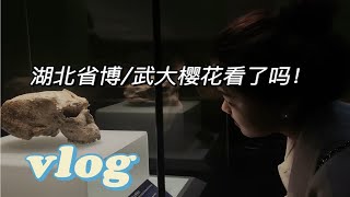 【武大樱花季】vlog 032｜樱花和我都想见你｜顶屋咖喱牛牛｜湖北省博 [upl. by Mya]