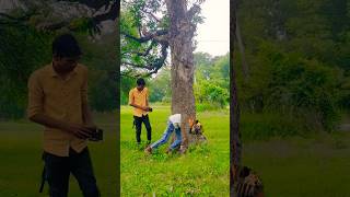 Magical tree New trending vfx editing kinemaster shorts trending funny [upl. by Wolfson362]