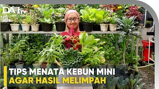 Tips Menata Kebun Mini dari MGB Garden [upl. by Anerrol833]