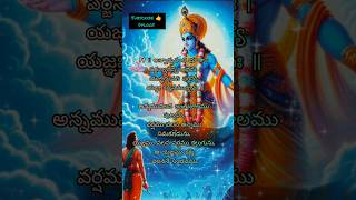 14 Slokam and meaning in bagavathgeetha lyrics telugu trending new krishna viralreels shorts [upl. by Thorny]