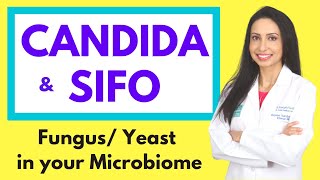 CANDIDA and SIFO Small Intestine Fungal Overgrowth Fungal Yeast Overgrowth in the Microbiome [upl. by Vernor]