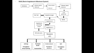 BELAJAR MUDAH MEMAHAMI PATOFISOLOGI HIPERTENSI RAAS RENIN ANGIOTENSIN ALDOSTERON SYSTEM farmasi [upl. by Parthena996]