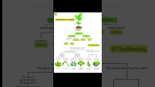 Classification of plants  Flowering plants and nonflowering plants  ETEA SMASHER [upl. by Deevan151]