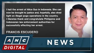 PH senators thank Indonesian authorities for Alice Guos arrest  ANC [upl. by Blaire]