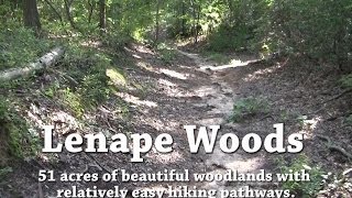 Lenape Woods [upl. by Cynthy]