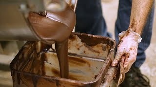 How Chocolate is Made [upl. by Efar897]