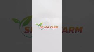 Silico Farm Pune [upl. by Norreht]