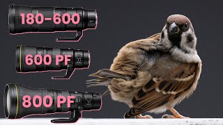 Nikon 180600 vs 600 PF vs 800 PF [upl. by Fleda]