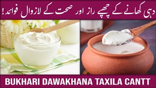 Yogurt Khane Ke Chupe Raaz – Fawaid Se Parda Uthaiye  Benefits And Treatment Behtarin Ilaj [upl. by Lledal65]