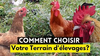 COMMENT CHOISIR VOTRE TERRAIN DÉLEVAGES [upl. by Ytnom822]