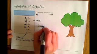 Additional Biology B2 Sampling with Transects [upl. by Zeralda]