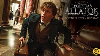 Legendás állatok és megfigyelésük  Szinkronos előzetes 1 12 Fantastic Beasts [upl. by Atterys]