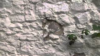 Plastic masonry paint  how it destroys walls [upl. by Oinigih]