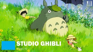 Studio Ghibli Tribute [upl. by Michaelina]