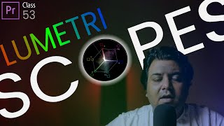 Understanding LUMETRI SCOPES in Premiere Pro  Class 53  Life In Layers [upl. by Ayik]