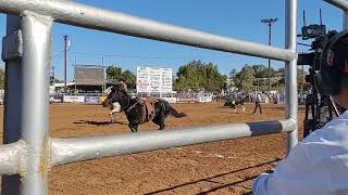 2023 Brawley Cattle Call Rodeo Cows 1 Cowboys O [upl. by Lucrece469]