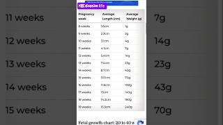 Pregnancy baby weight week by week chart 840week viralshorts pregnency KF Dream life [upl. by Ahseat924]