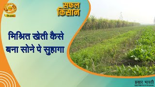 Safal Kisan  सफल किसान  मिश्रित खेती कैसे बना सोने पे सुहागा  DD Kisan  20 Nov 2024 [upl. by Arjan]