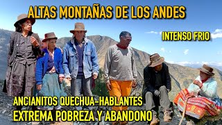 Altas Montañas de los Andes viven ancianitos quechuahablantes en extrema pobreza y bajo 0º grados [upl. by Areem]