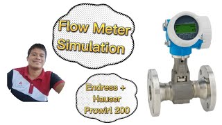 Flow Meter  Simulation  Calibration  EndressHauser  Prowirl 200  Tagalog Tutorial [upl. by Atires]